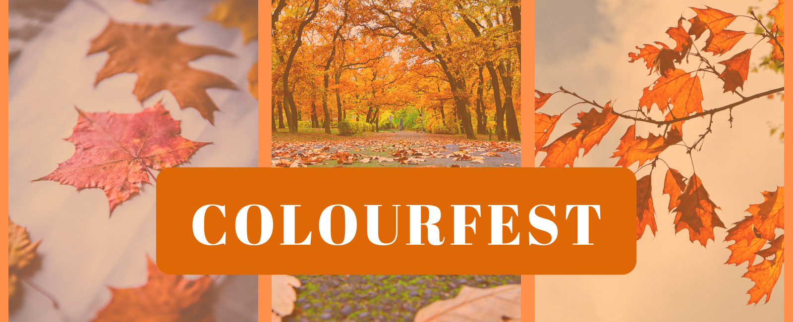 Leaves and trees and word colourfest